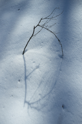  Margot Roth, swiss photographer.