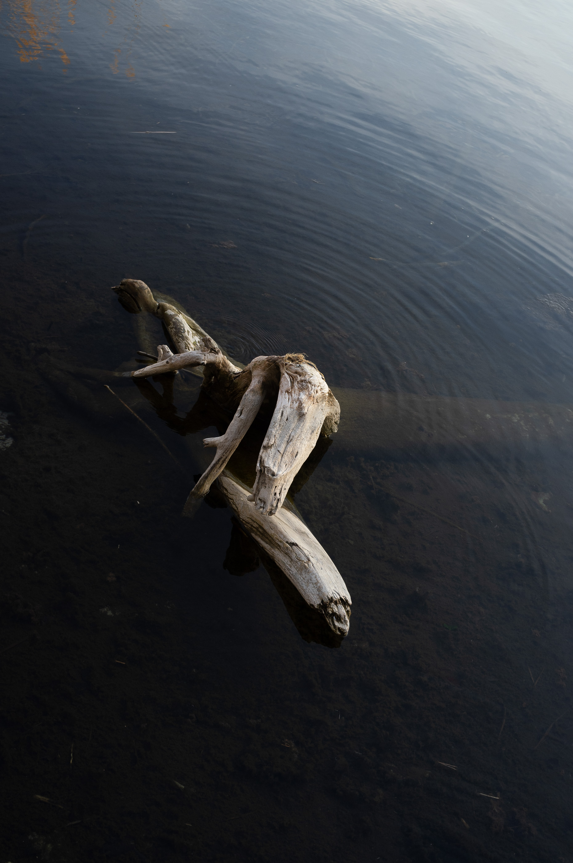  Margot Roth, swiss photographer.