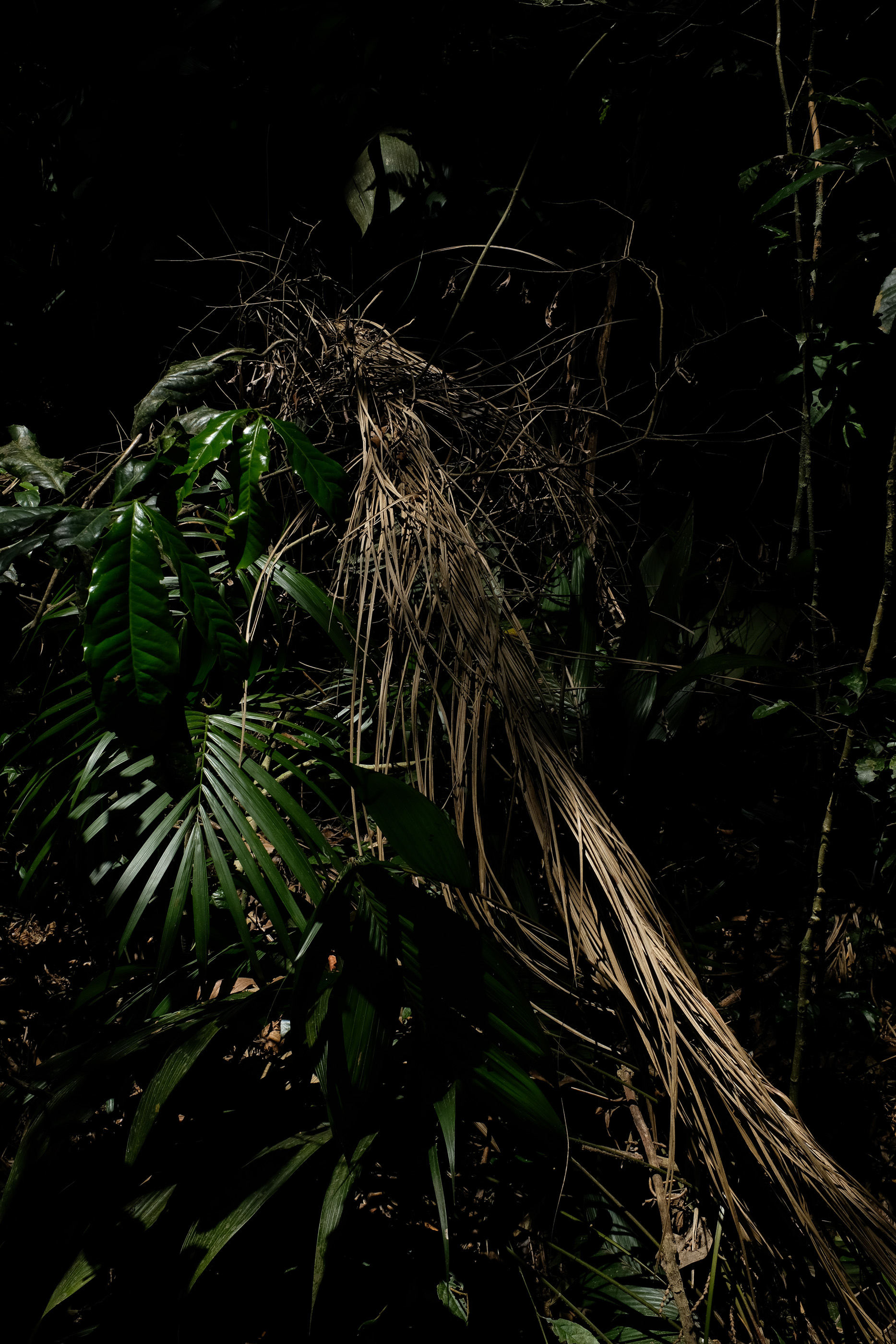  Margot Roth, swiss photographer.