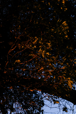  Margot Roth, swiss photographer.