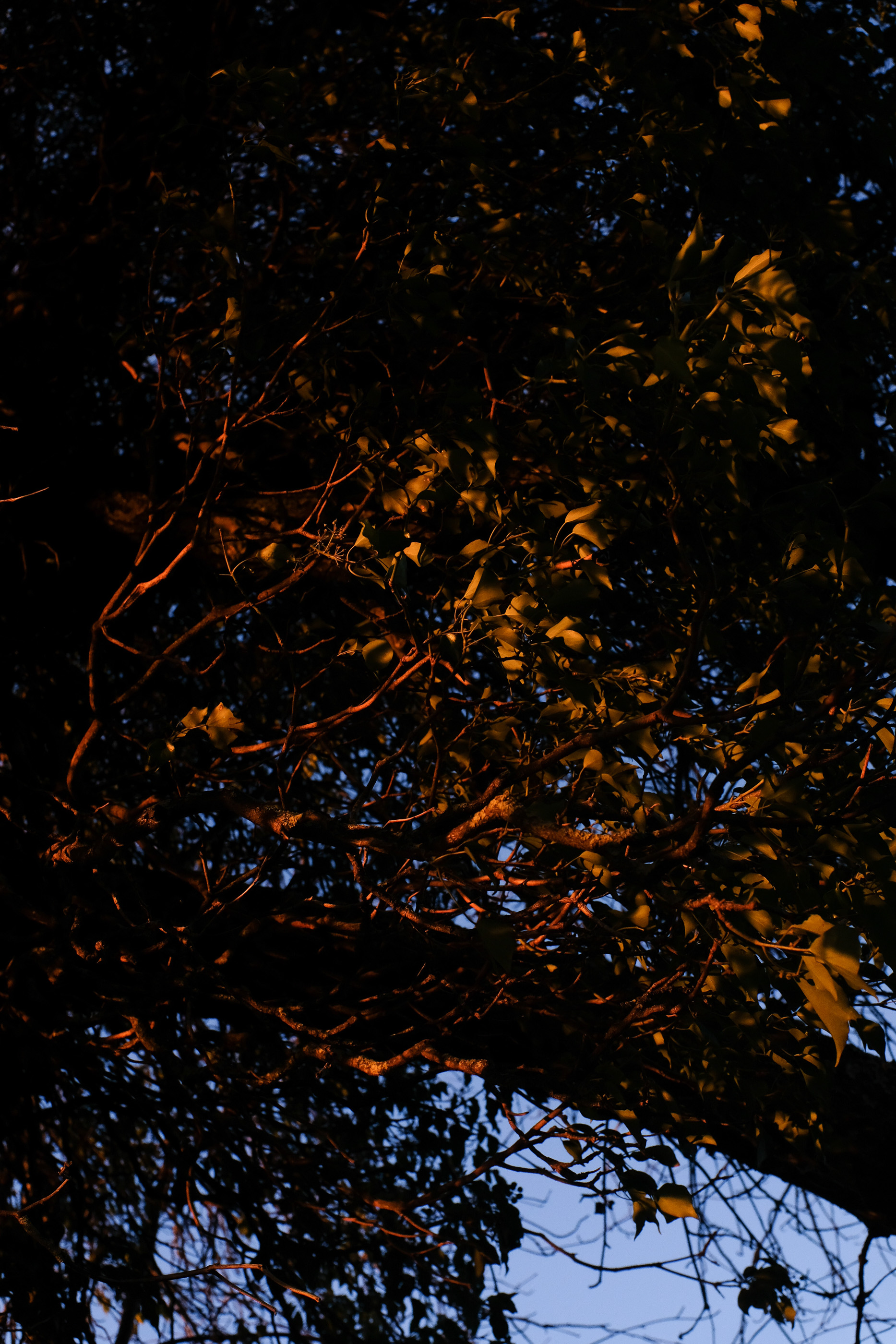  Margot Roth, swiss photographer.