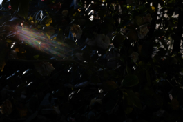  Margot Roth, swiss photographer.