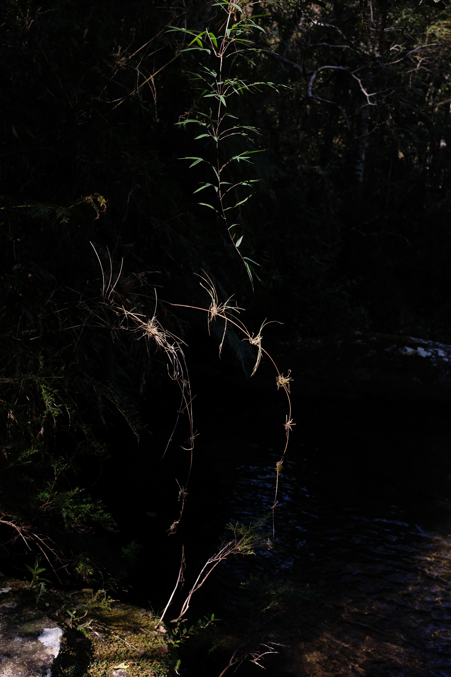  Margot Roth, swiss photographer.