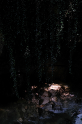  Margot Roth, swiss photographer.