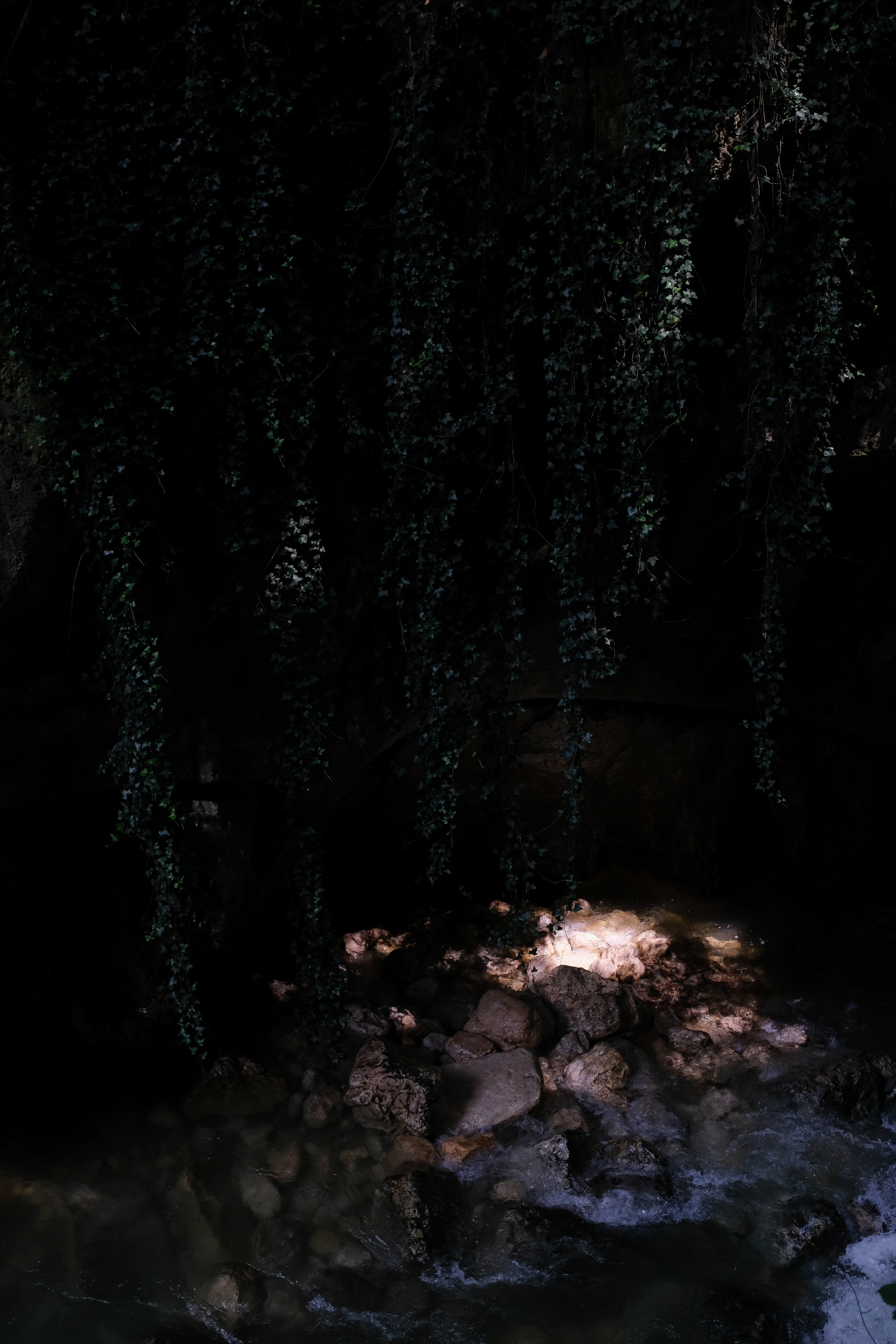  Margot Roth, swiss photographer.