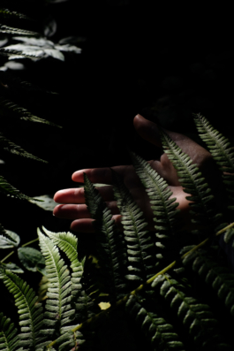  Margot Roth, swiss photographer.