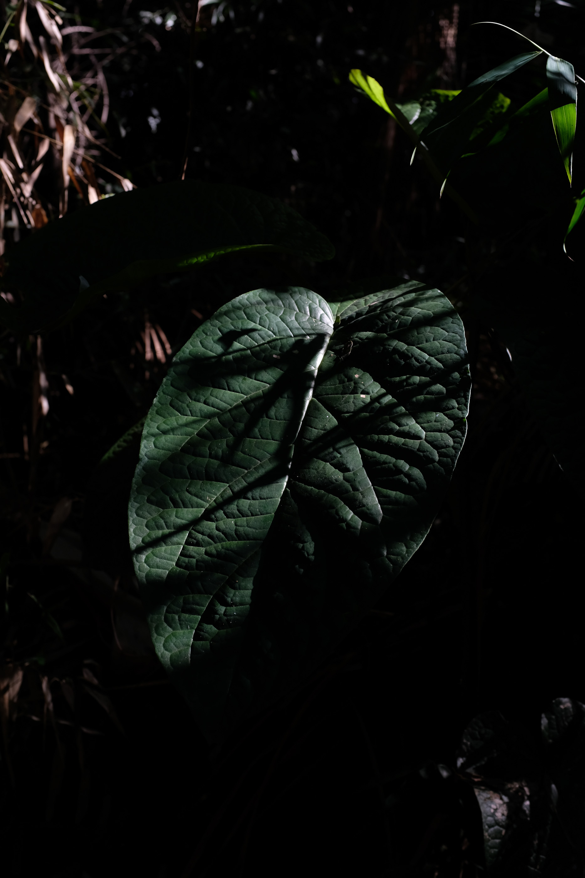  Margot Roth, swiss photographer.