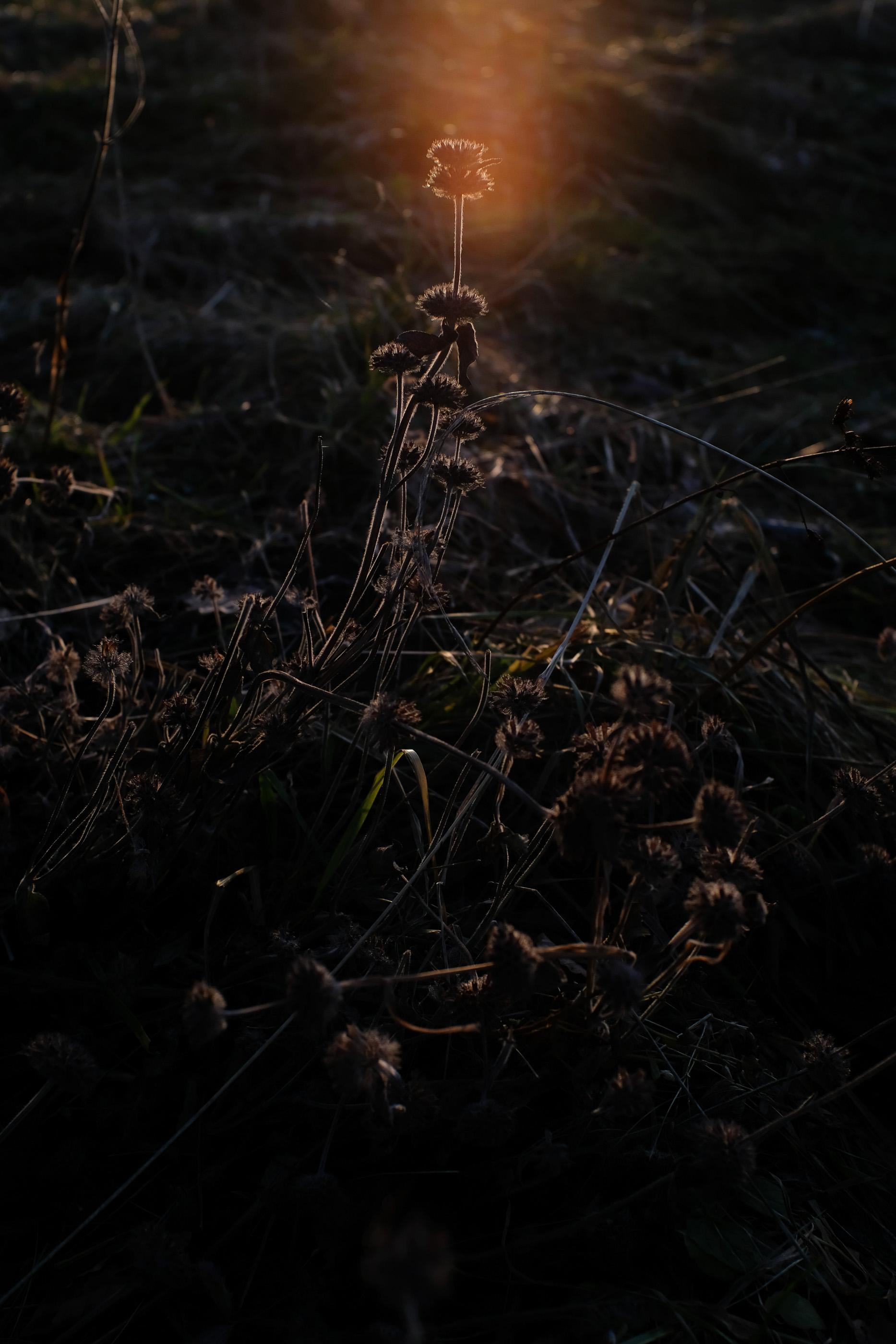  Margot Roth, swiss photographer.