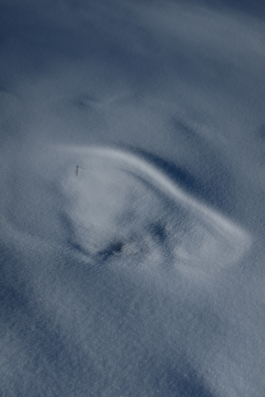  Margot Roth, swiss photographer.