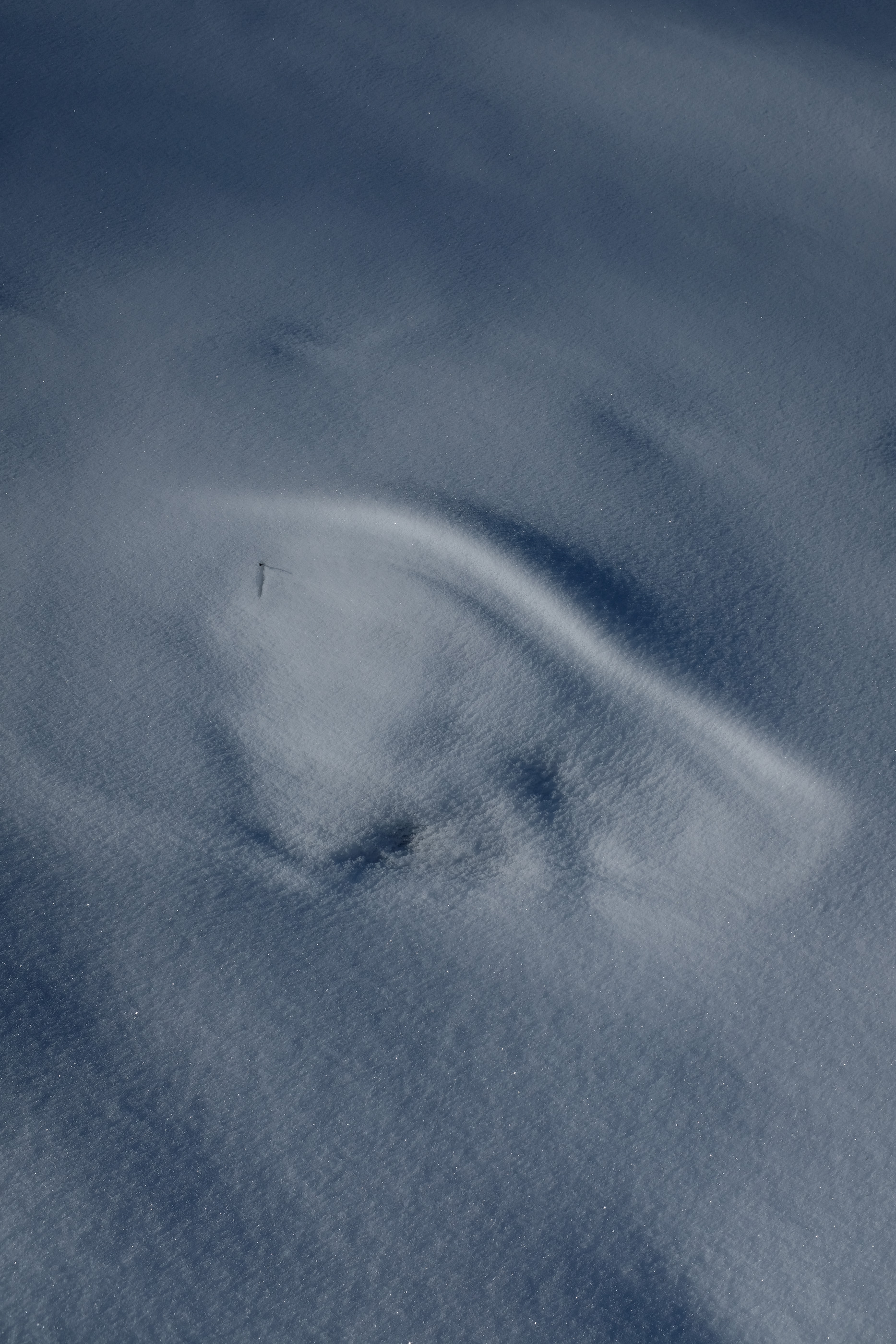  Margot Roth, swiss photographer.