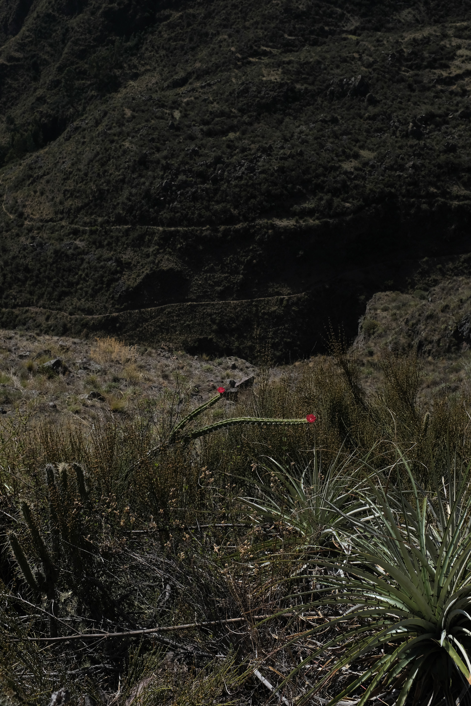  Margot Roth, swiss photographer.