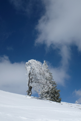  Margot Roth, swiss photographer.