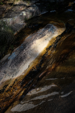  Margot Roth, swiss photographer.