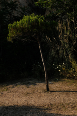  Margot Roth, swiss photographer.