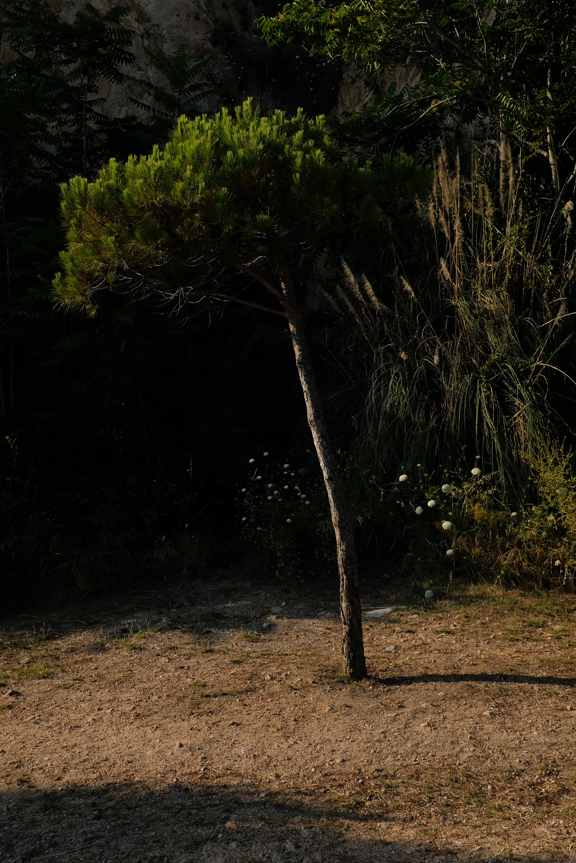  Margot Roth, swiss photographer.