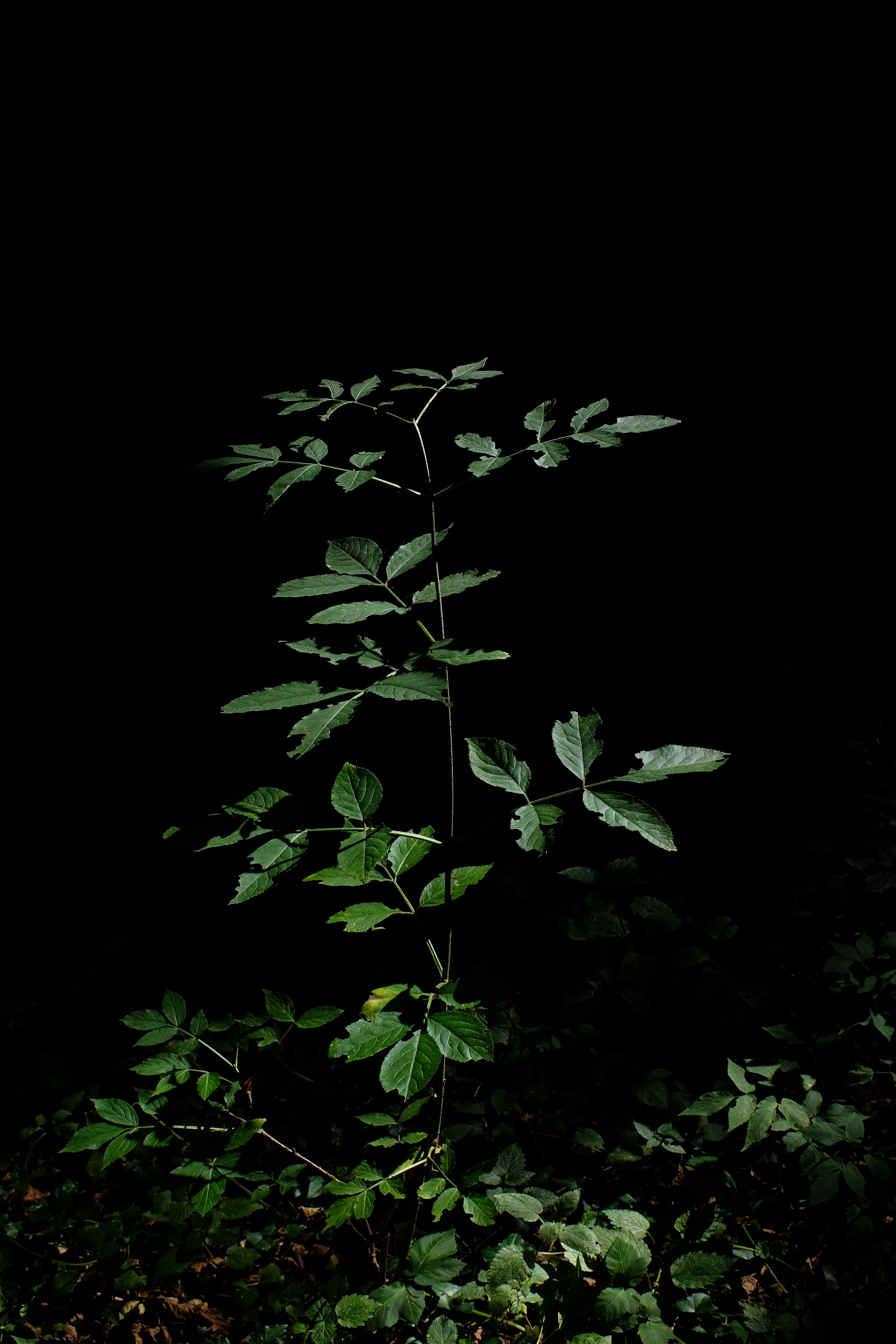  Margot Roth, swiss photographer.