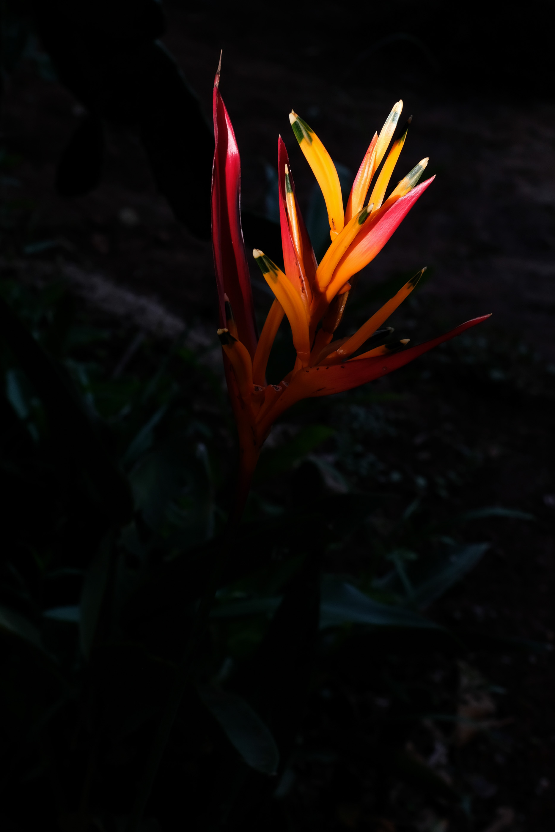  Margot Roth, swiss photographer.