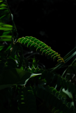  Margot Roth, swiss photographer.