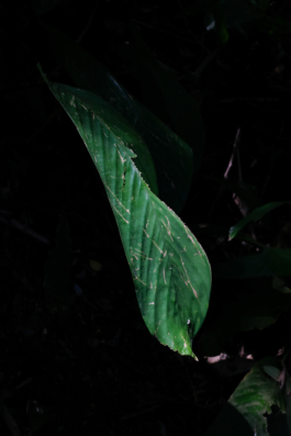  Margot Roth, swiss photographer.