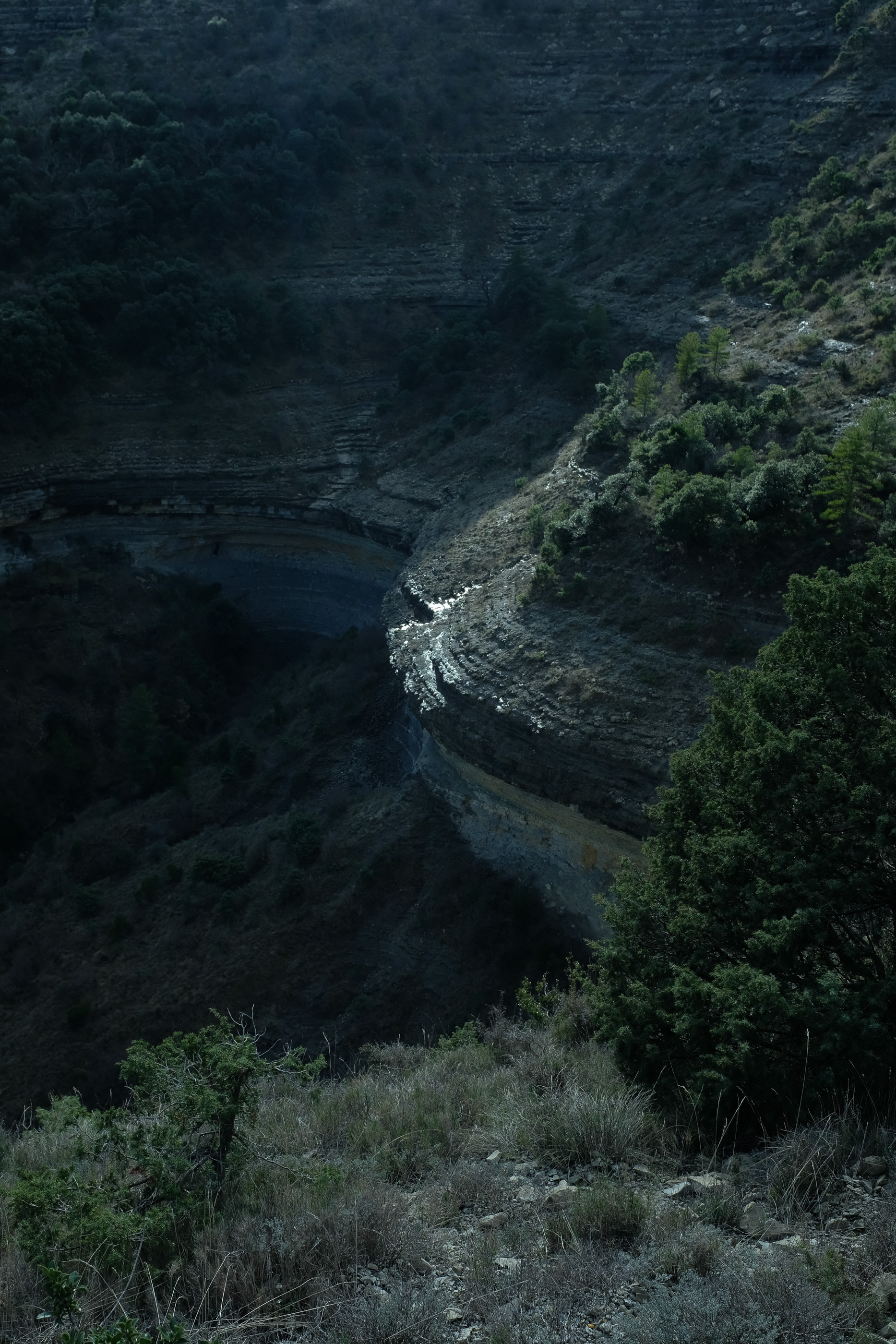  Margot Roth, swiss photographer.