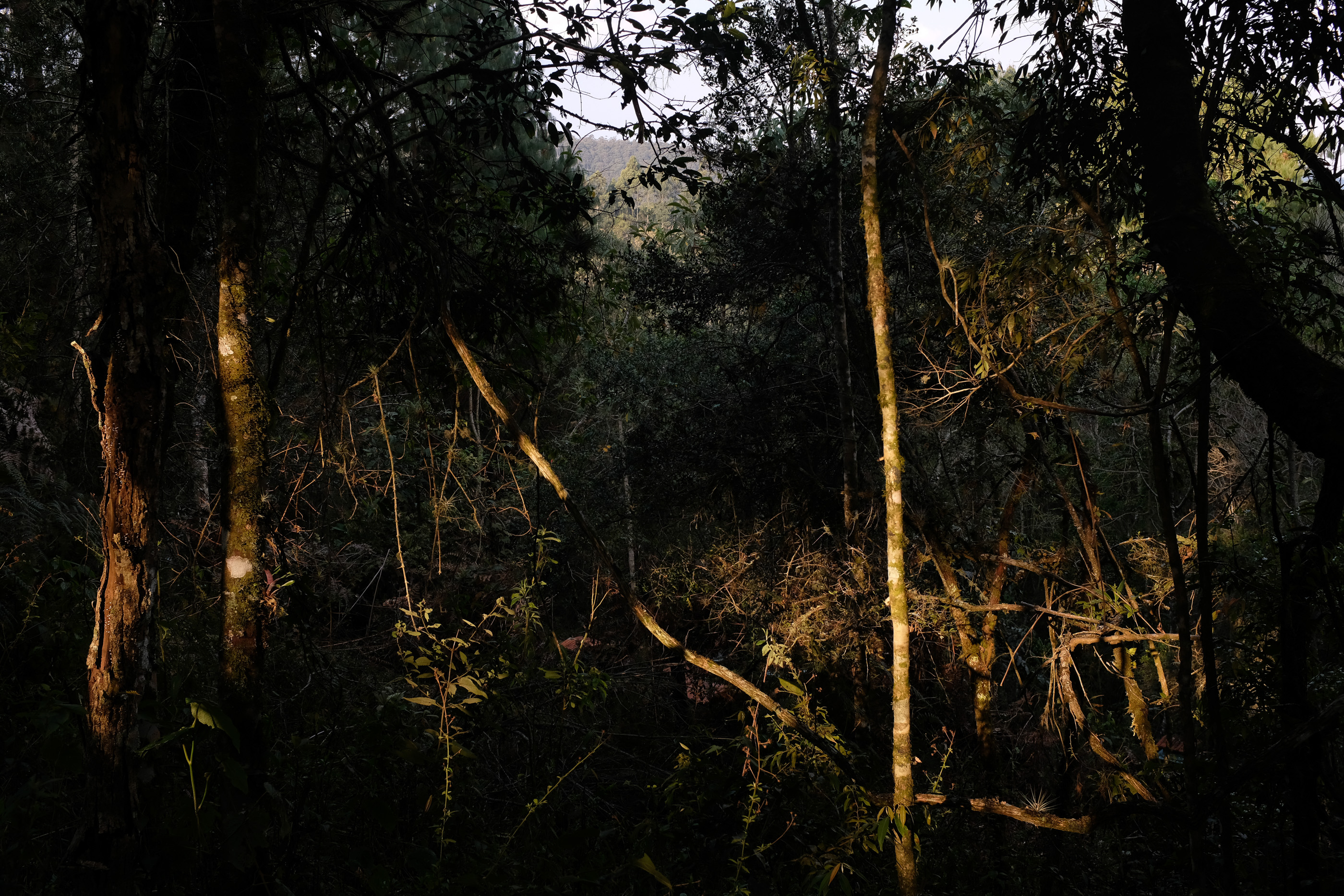  Margot Roth, swiss photographer.