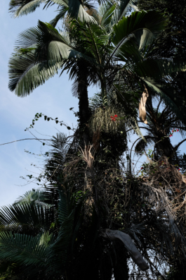  Margot Roth, swiss photographer.