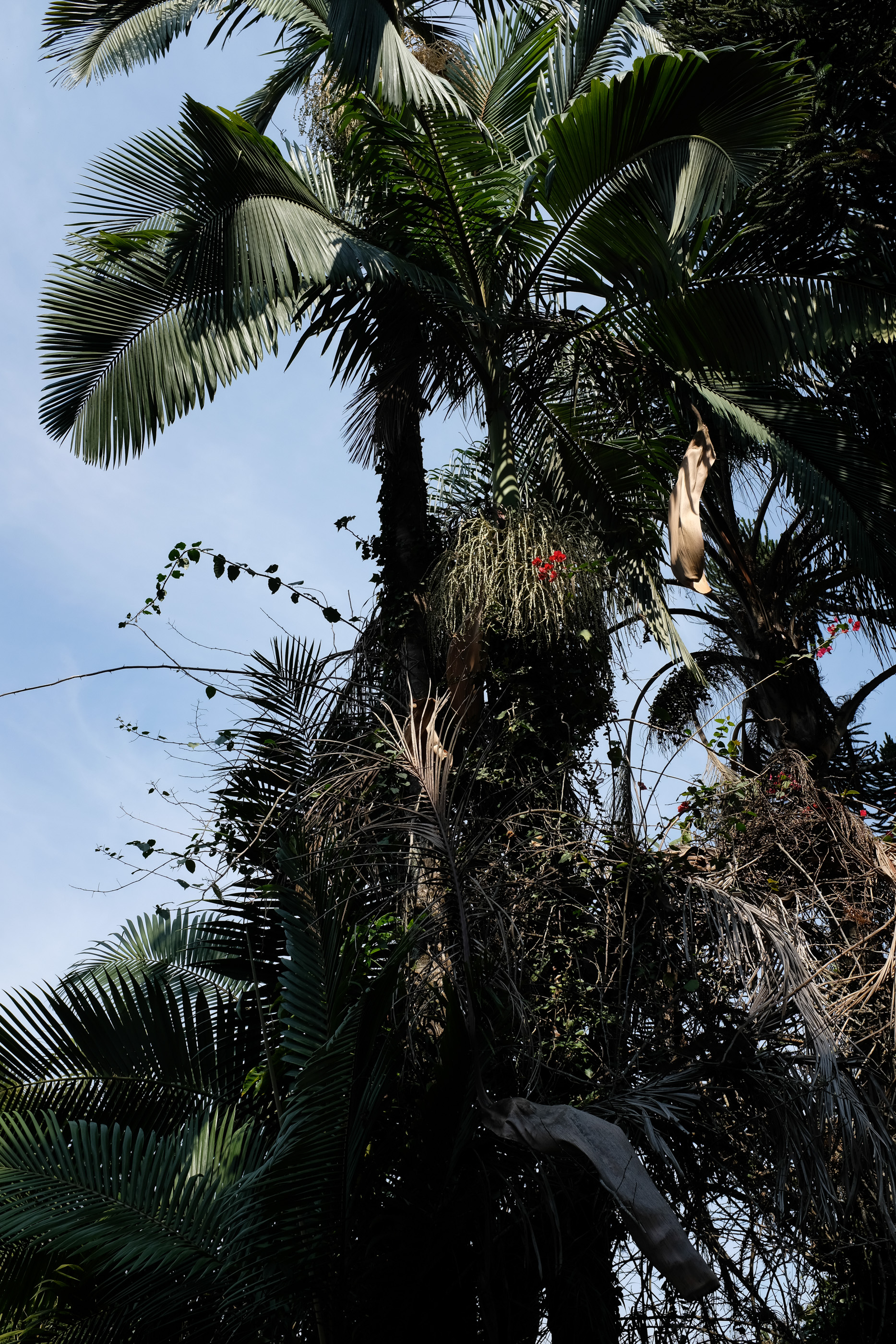  Margot Roth, swiss photographer.