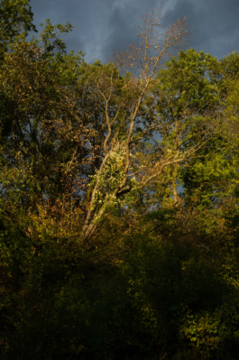  Margot Roth, swiss photographer.