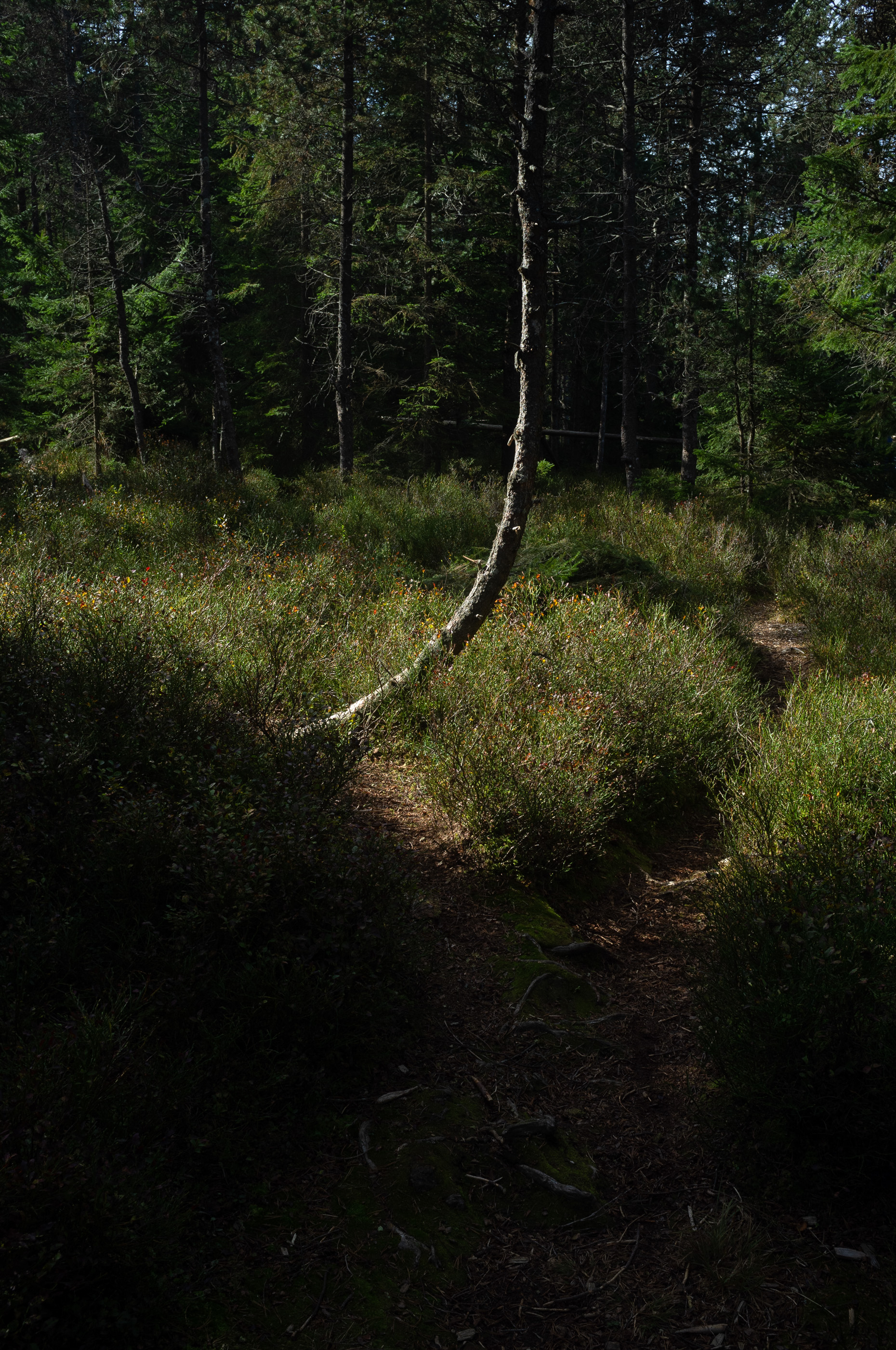  Margot Roth, swiss photographer.