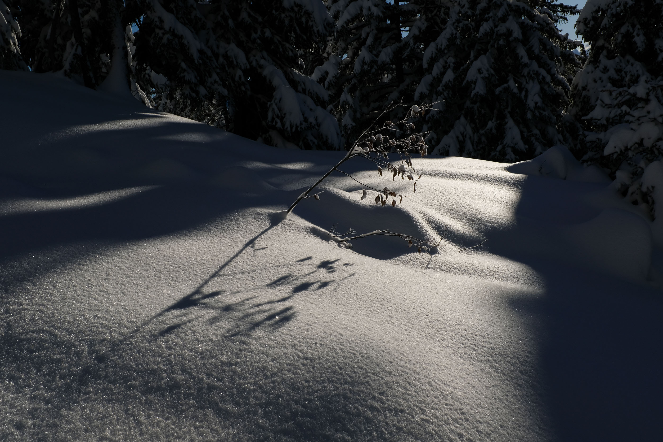  Margot Roth, swiss photographer.