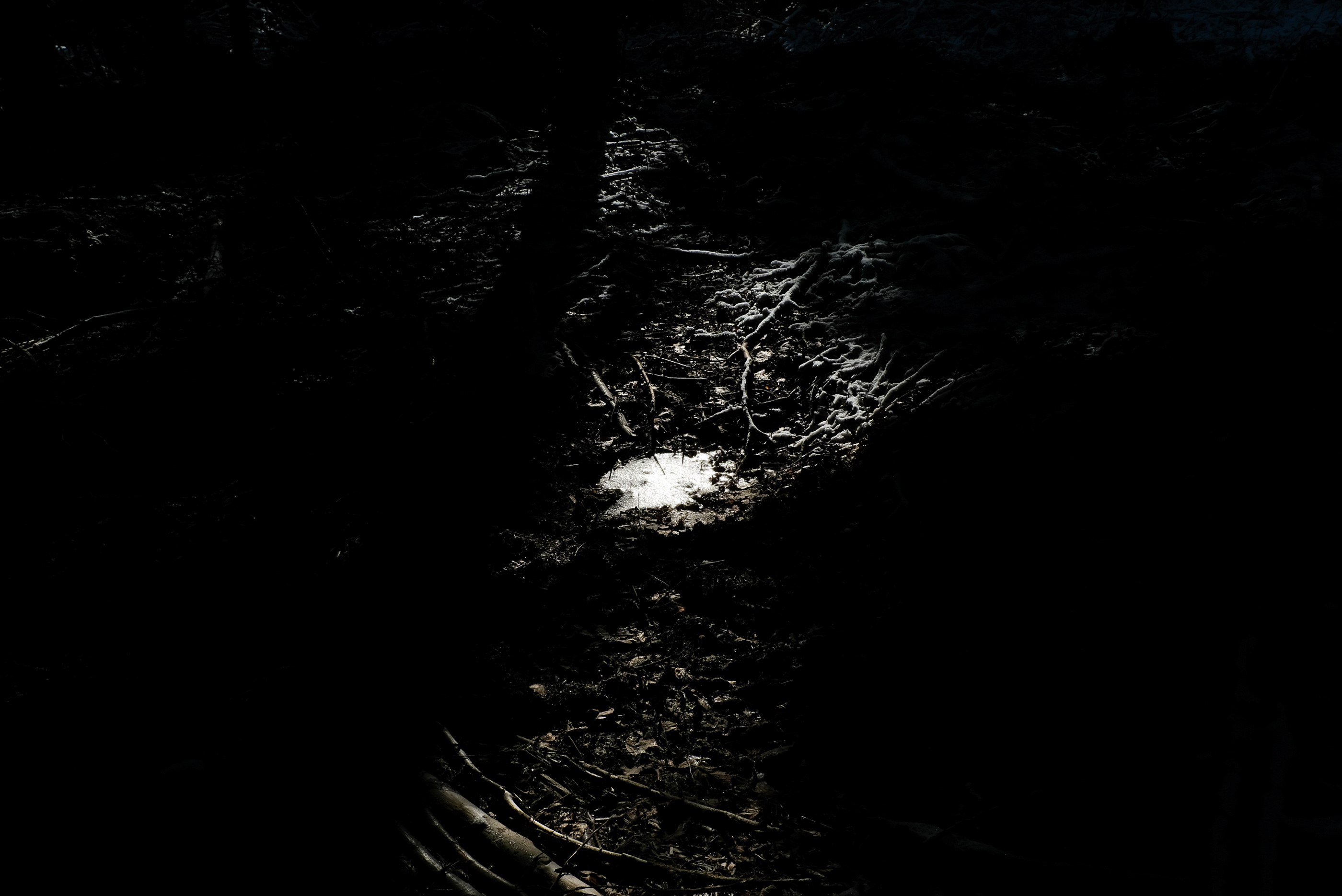  Margot Roth, swiss photographer.