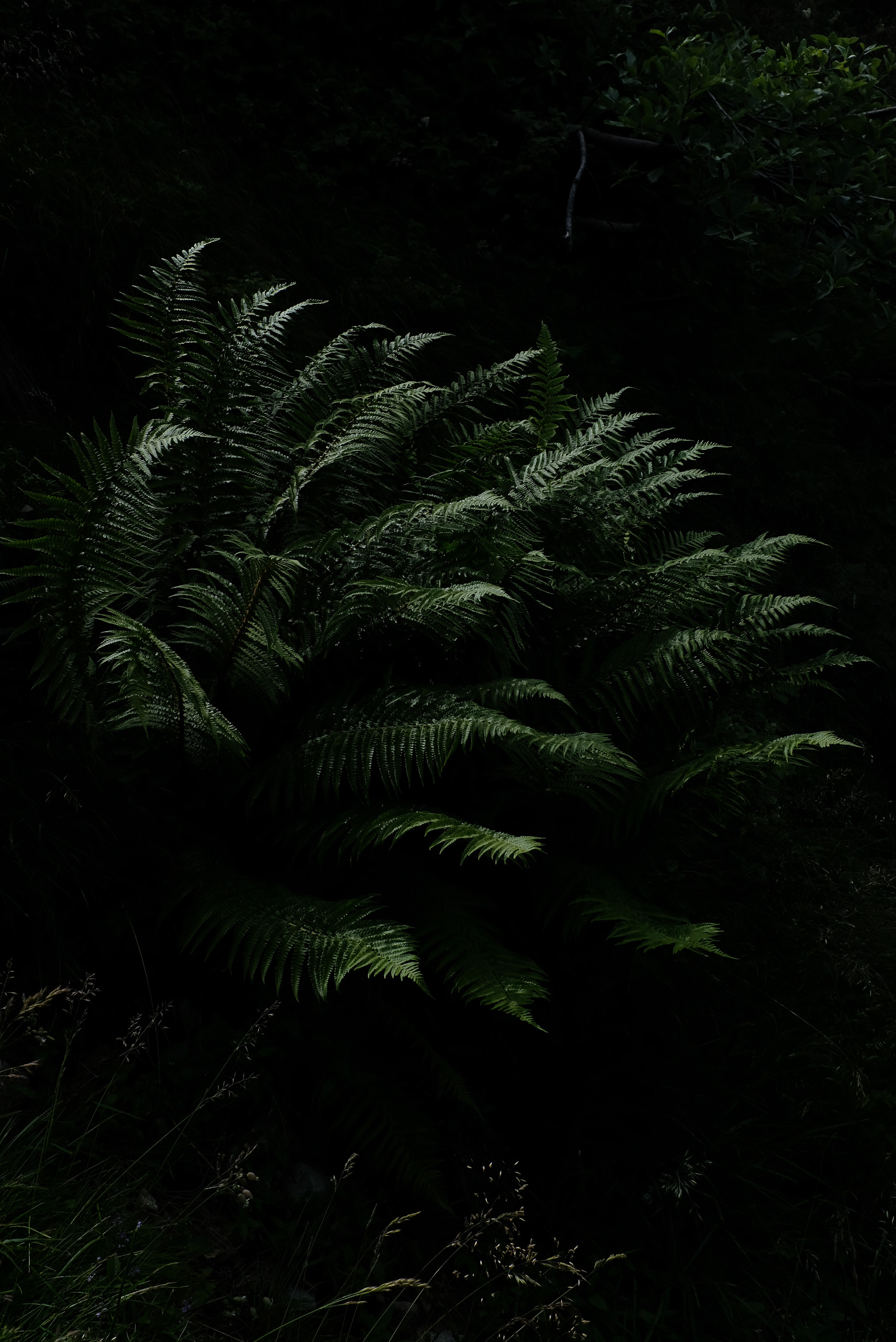  Margot Roth, swiss photographer.