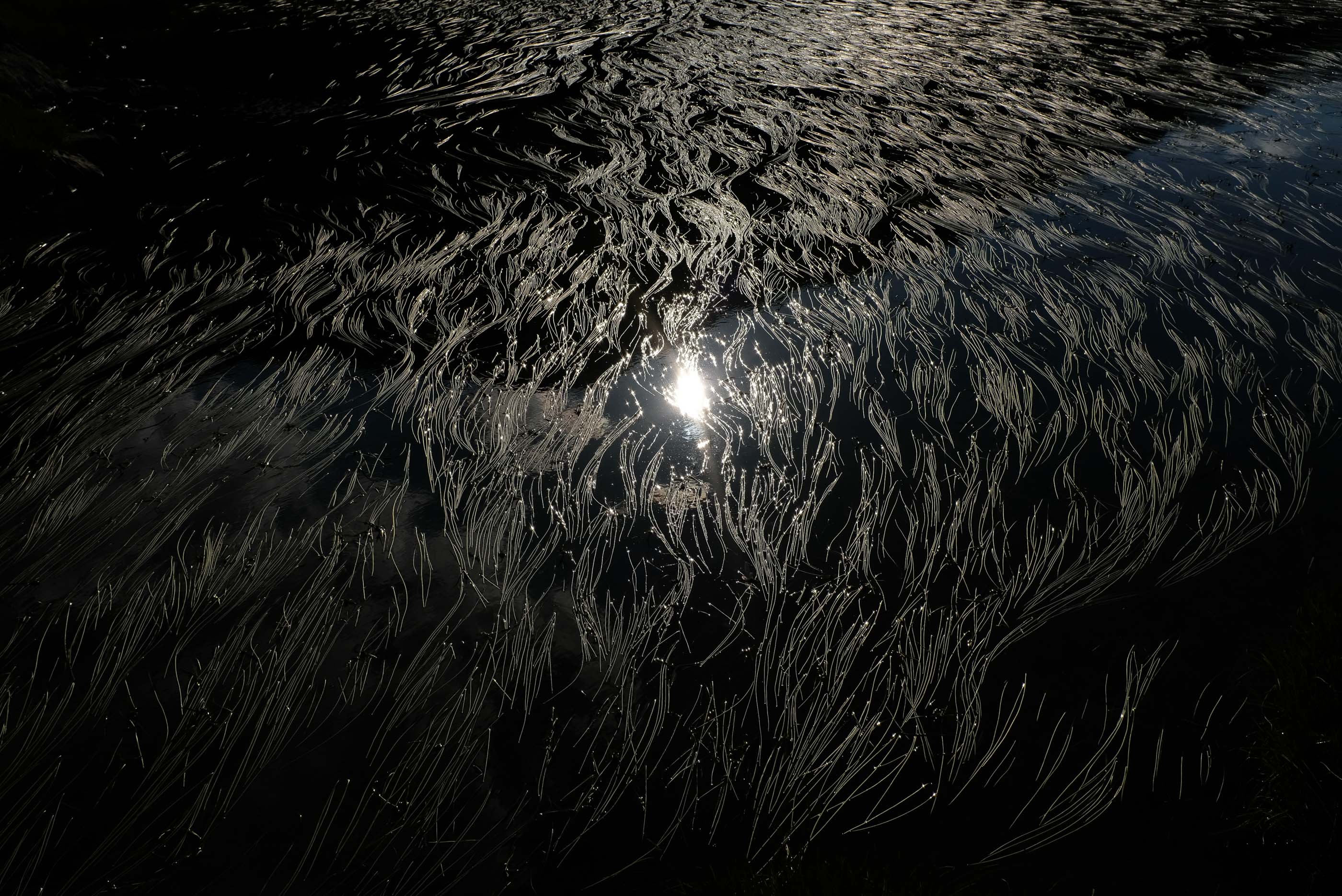  Margot Roth, swiss photographer.