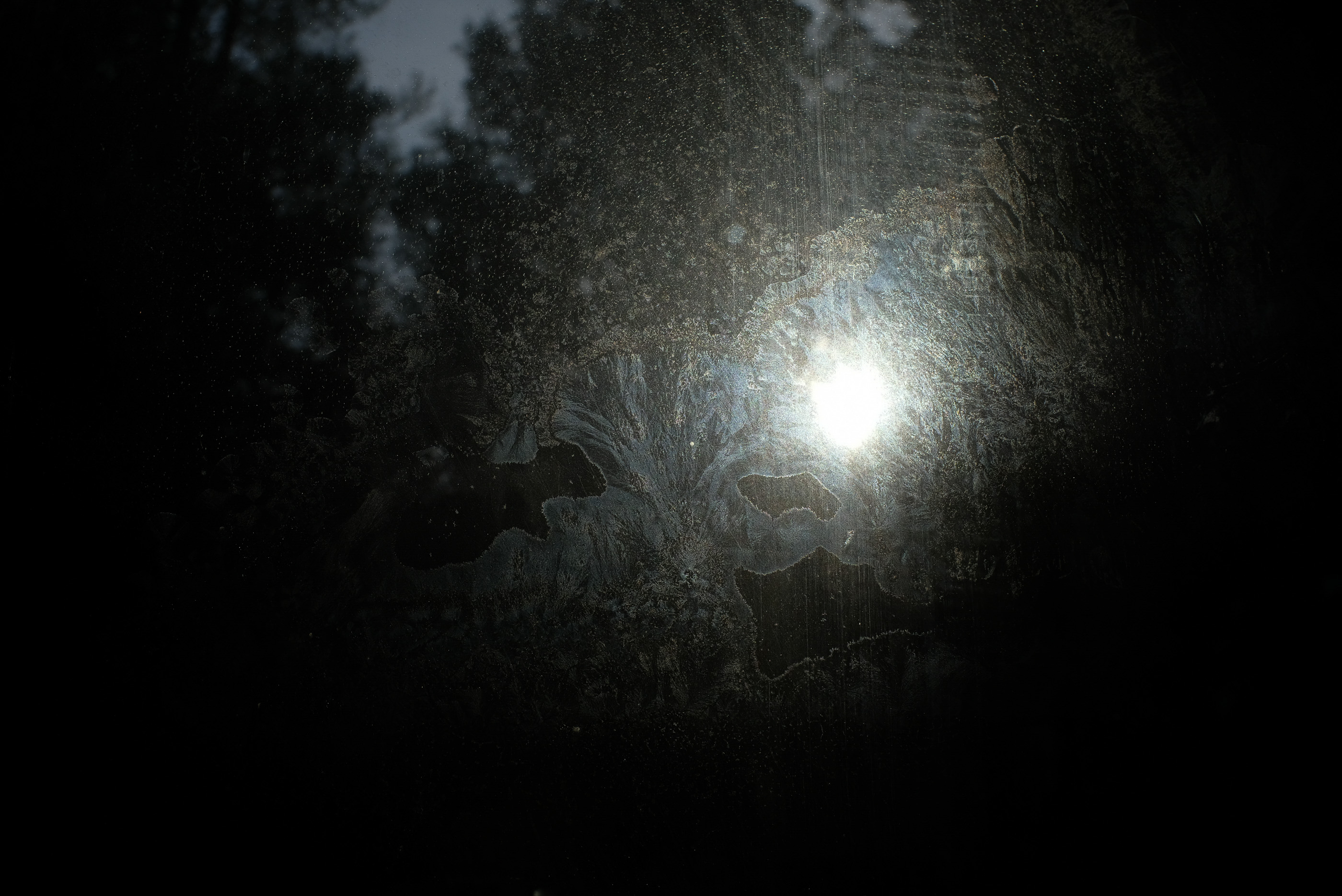  Margot Roth, swiss photographer.