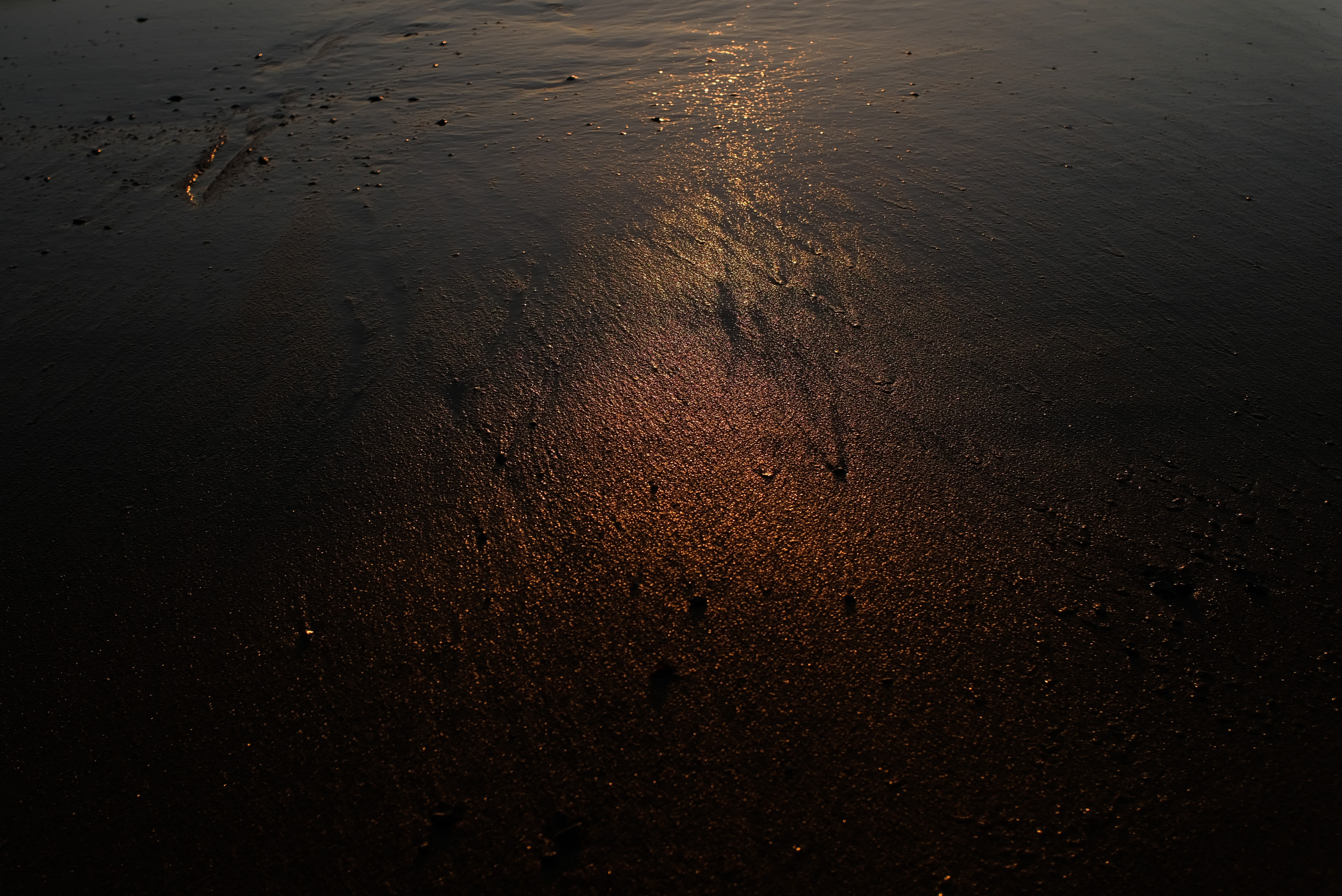  Margot Roth, swiss photographer.