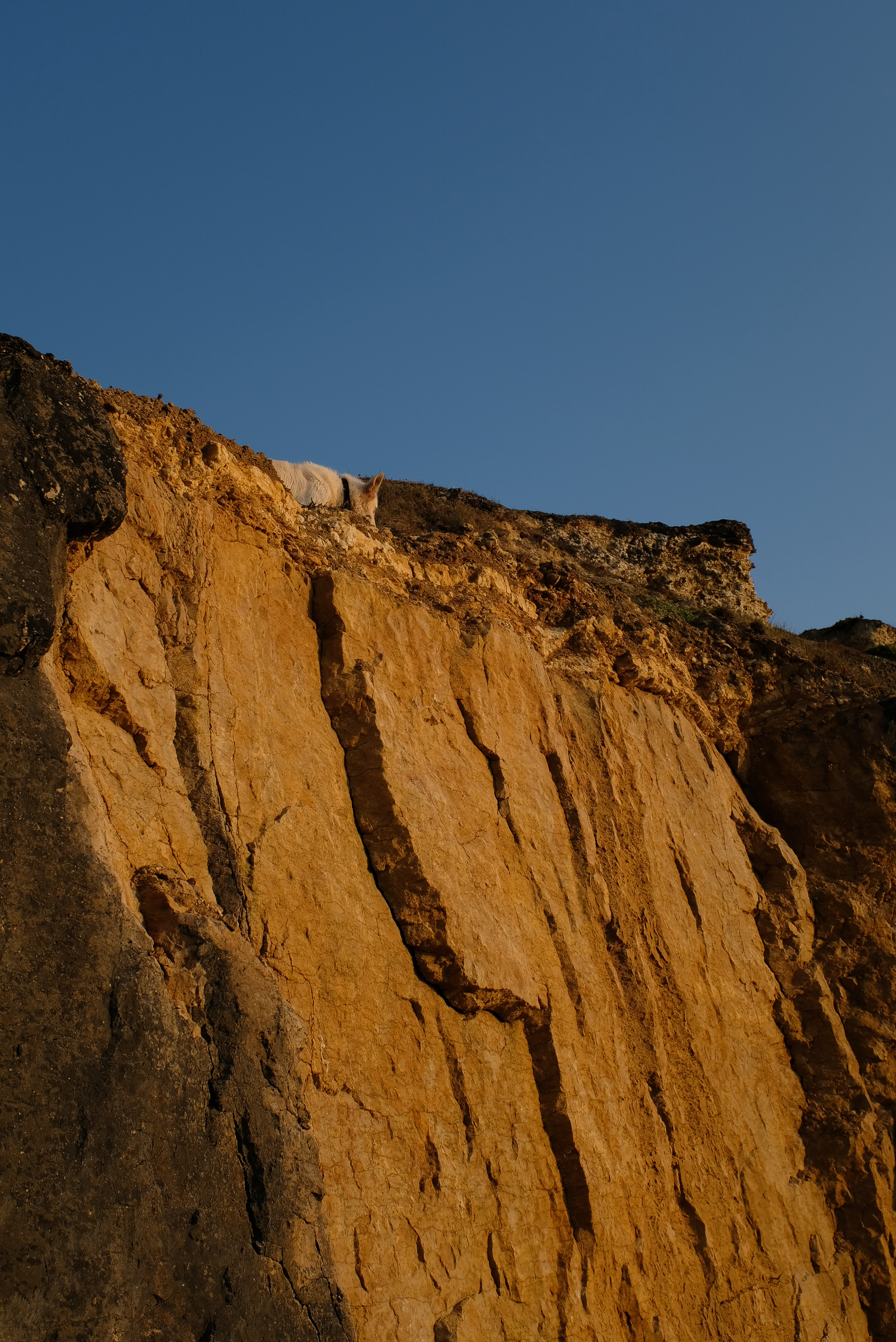  Margot Roth, swiss photographer.