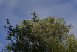  Margot Roth, swiss photographer.