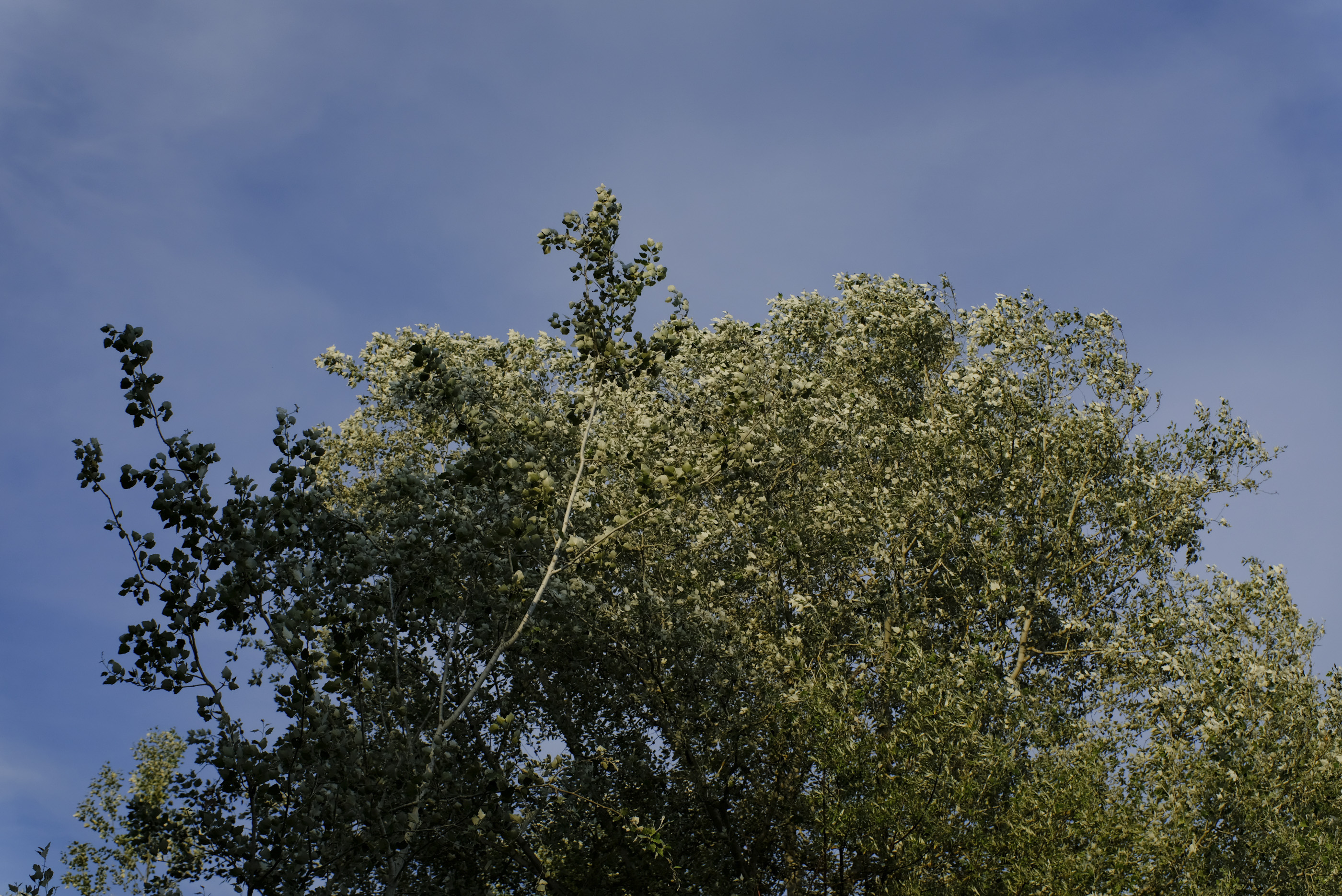  Margot Roth, swiss photographer.